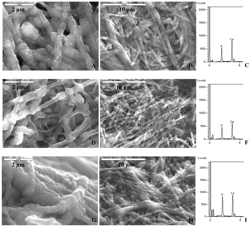 Polymers 03 00010f3 1024