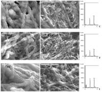 Polymers 03 00010f3 200