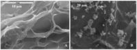 Polymers 03 00010f4 200