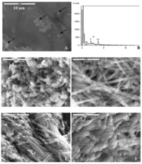 Polymers 03 00010f6a 200