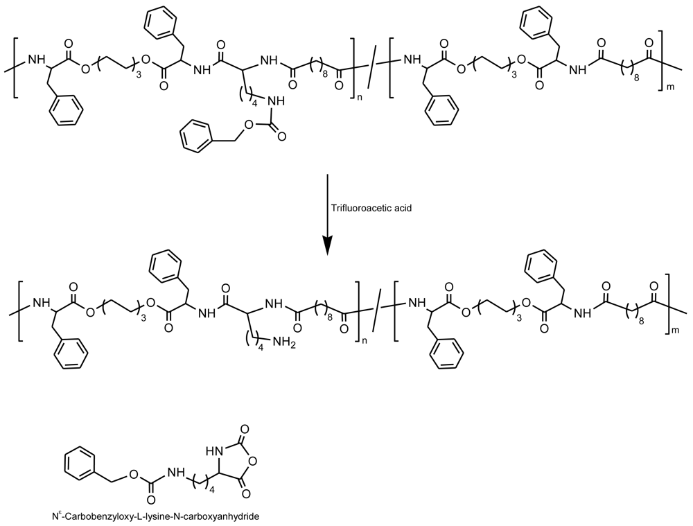 Polymers 03 00065f12 1024