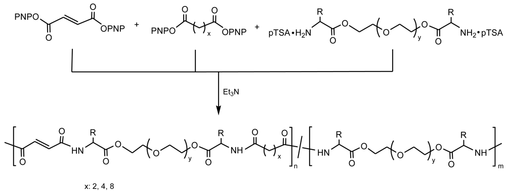 Polymers 03 00065f14 1024