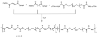 Polymers 03 00065f14 200