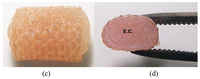 Polymers 03 00100f6b 200