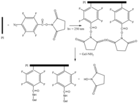 Polymers 03 00114f1 200
