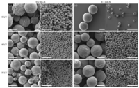 Polymers 03 00131f3 200