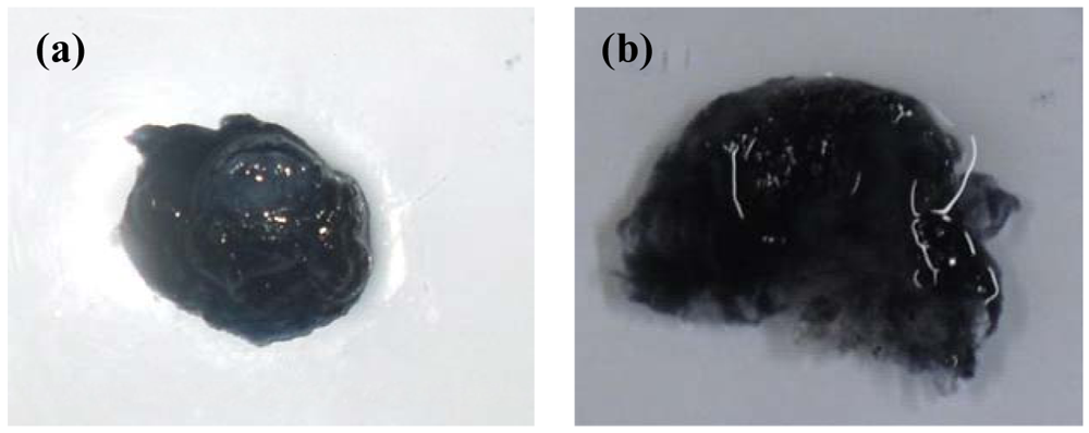 Polymers 03 00150f4 1024