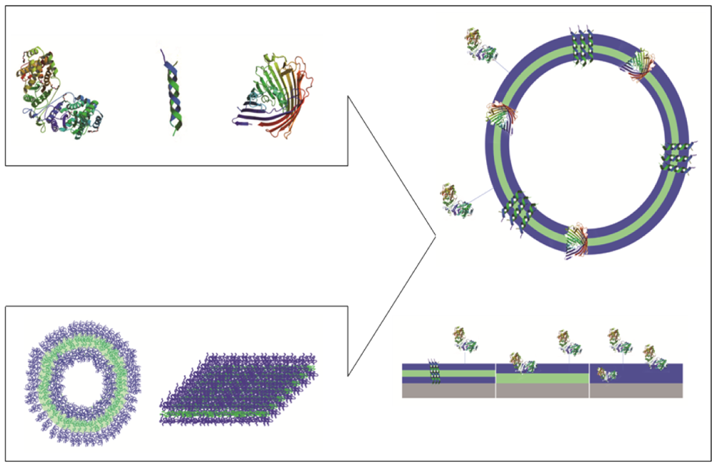Polymers 03 00173f1 1024