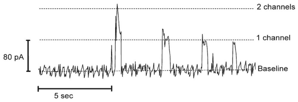 Polymers 03 00173f4 1024