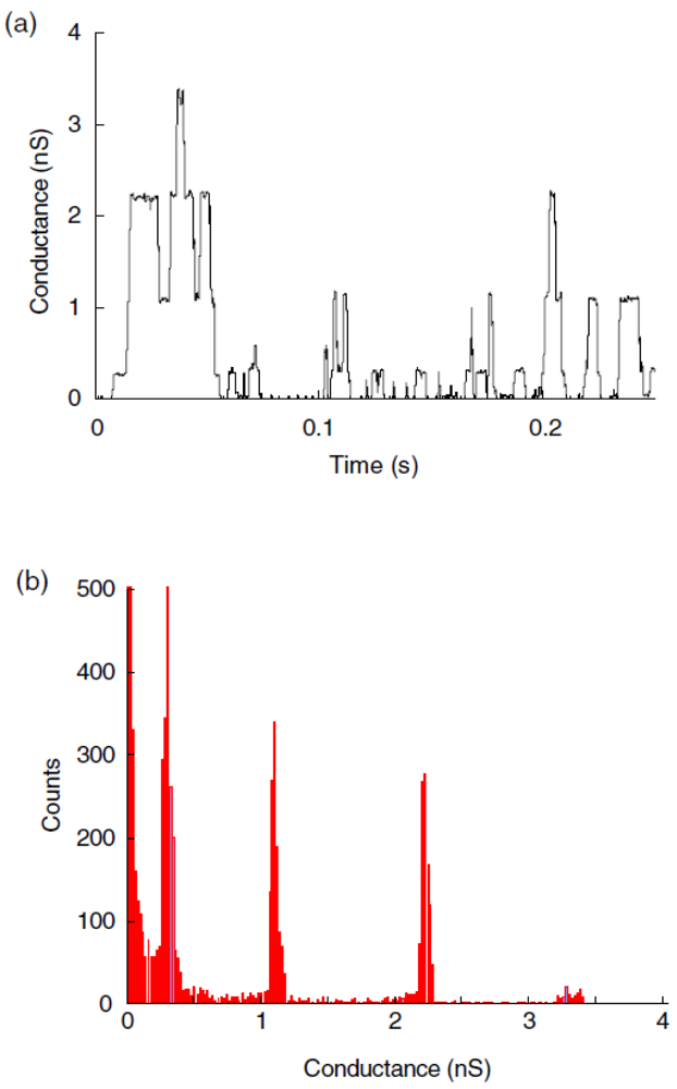 Polymers 03 00173f5 1024