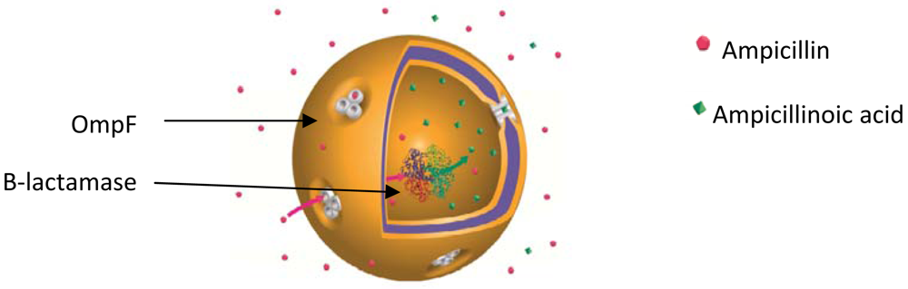 Polymers 03 00173f7 1024
