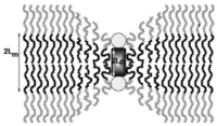 Polymers 03 00173f8 200