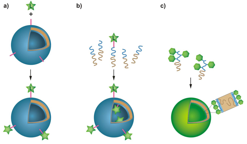 Polymers 03 00252f1 1024