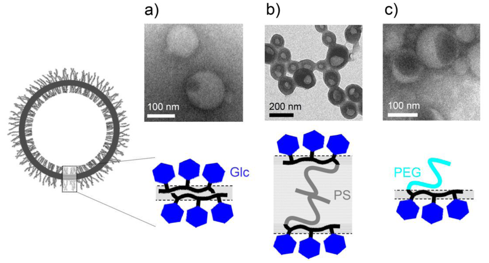 Polymers 03 00252f10 1024