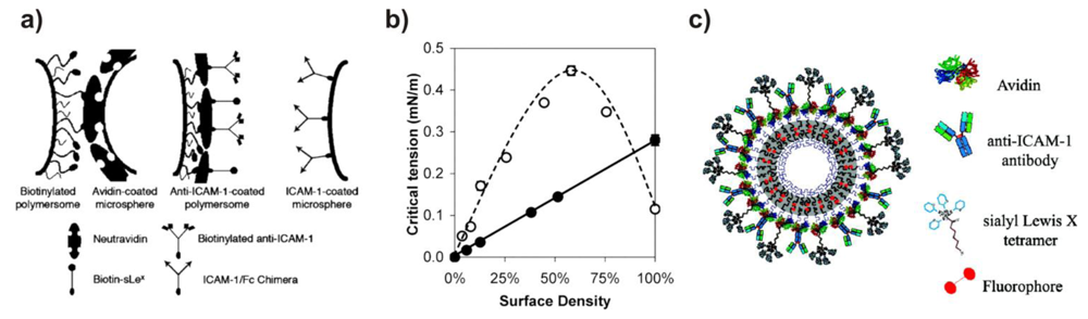 Polymers 03 00252f3 1024