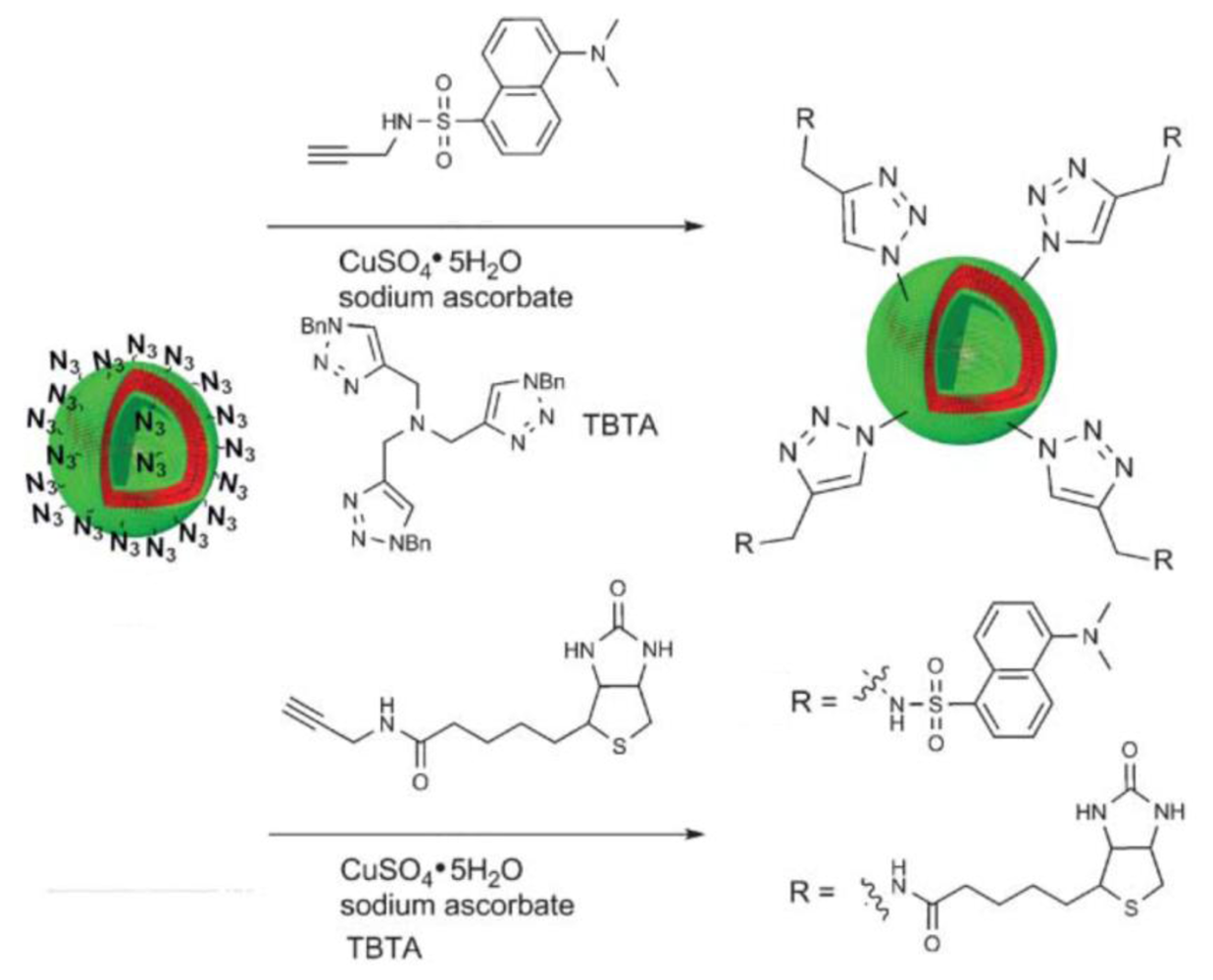 Polymers 03 00252f4 1024