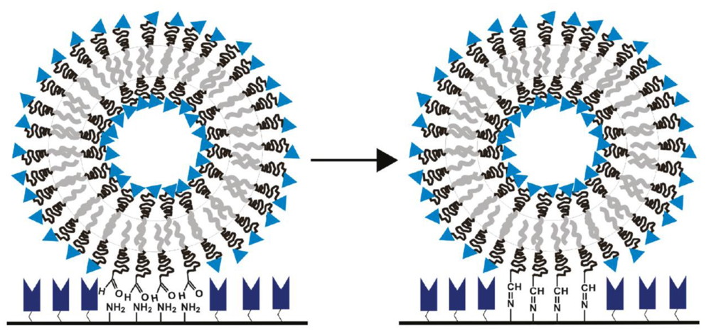 Polymers 03 00252f6 1024