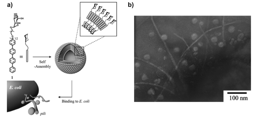 Polymers 03 00252f8 1024
