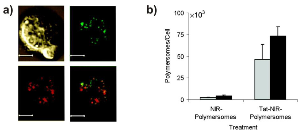 Polymers 03 00252f9 1024