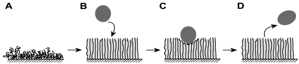 Polymers 03 00340f2 1024