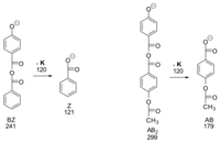 Polymers 03 00367f11 200