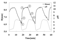 Polymers 03 00405f8 200