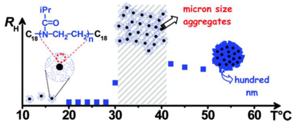 Block Copolymer Micelles Ionic Liquid Diet