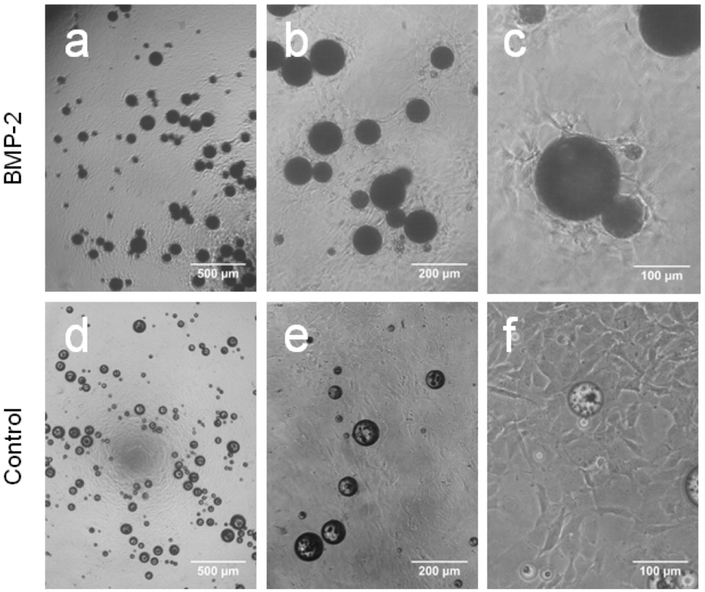Polymers 03 00571f4 1024