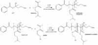 Polymers 03 00693f14 200