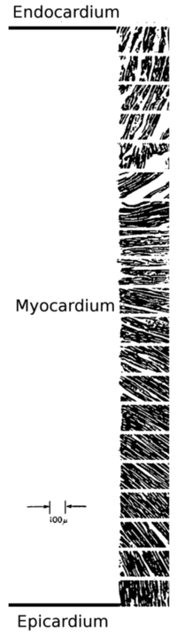Polymers 03 00740f1 200