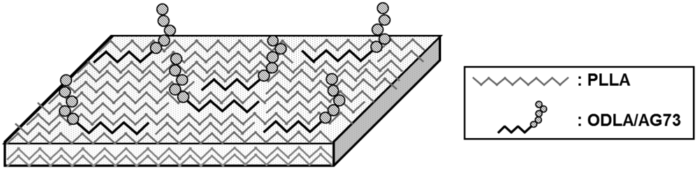 Polymers 03 00820f1 1024