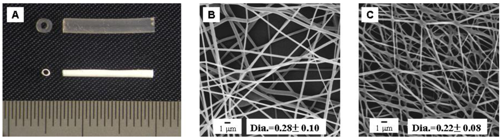 Polymers 03 00820f2 1024