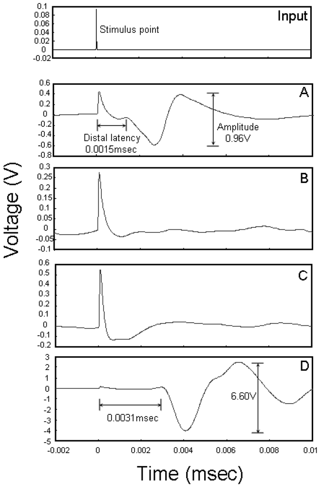 Polymers 03 00820f6 1024