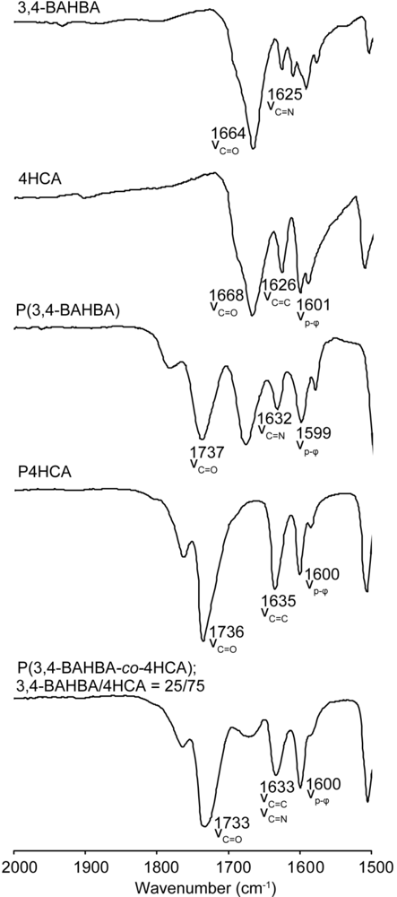 Polymers 03 00861f1 1024