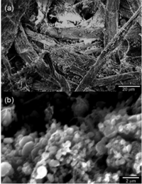 Polymers 03 00875f2 200