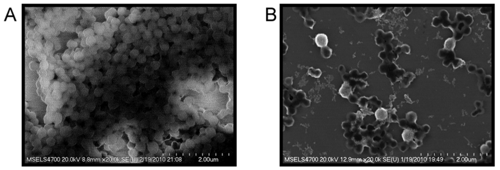 Polymers 03 01181f4 1024