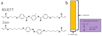 Polymers 03 01447f1 200