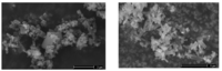 Polymers 03 01565f3 200