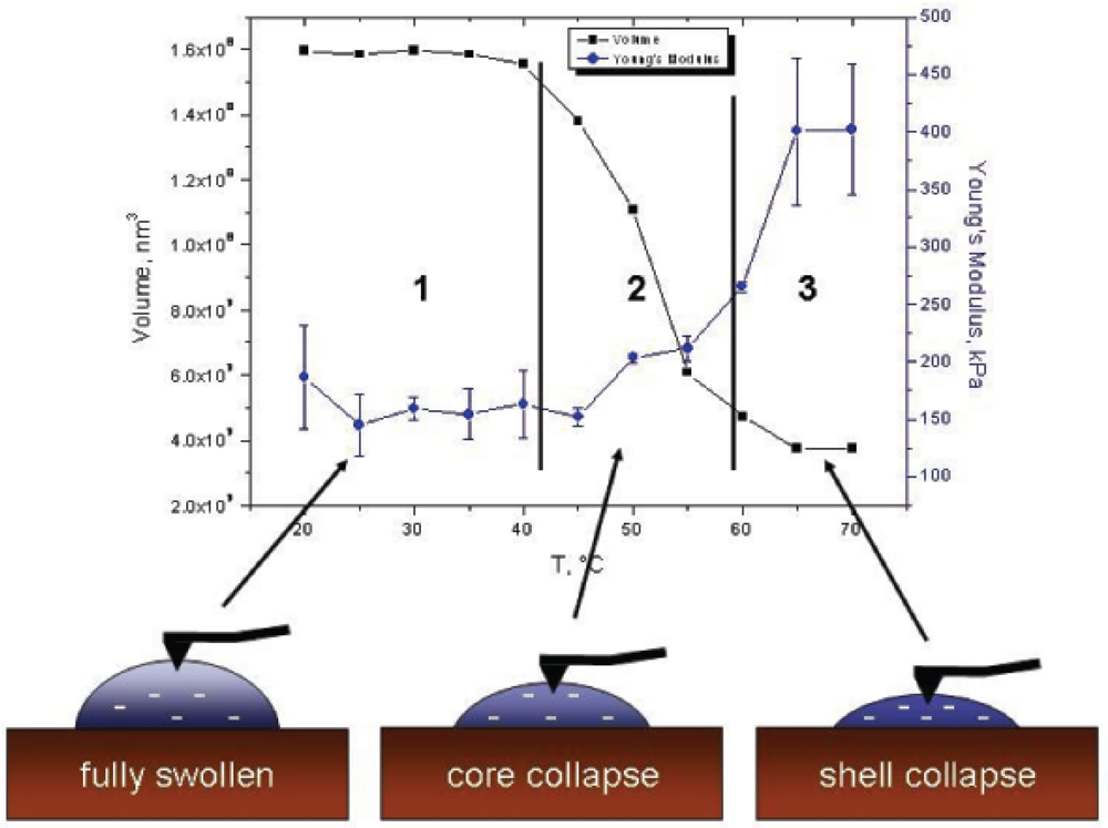 Polymers 03 01575f11 1024