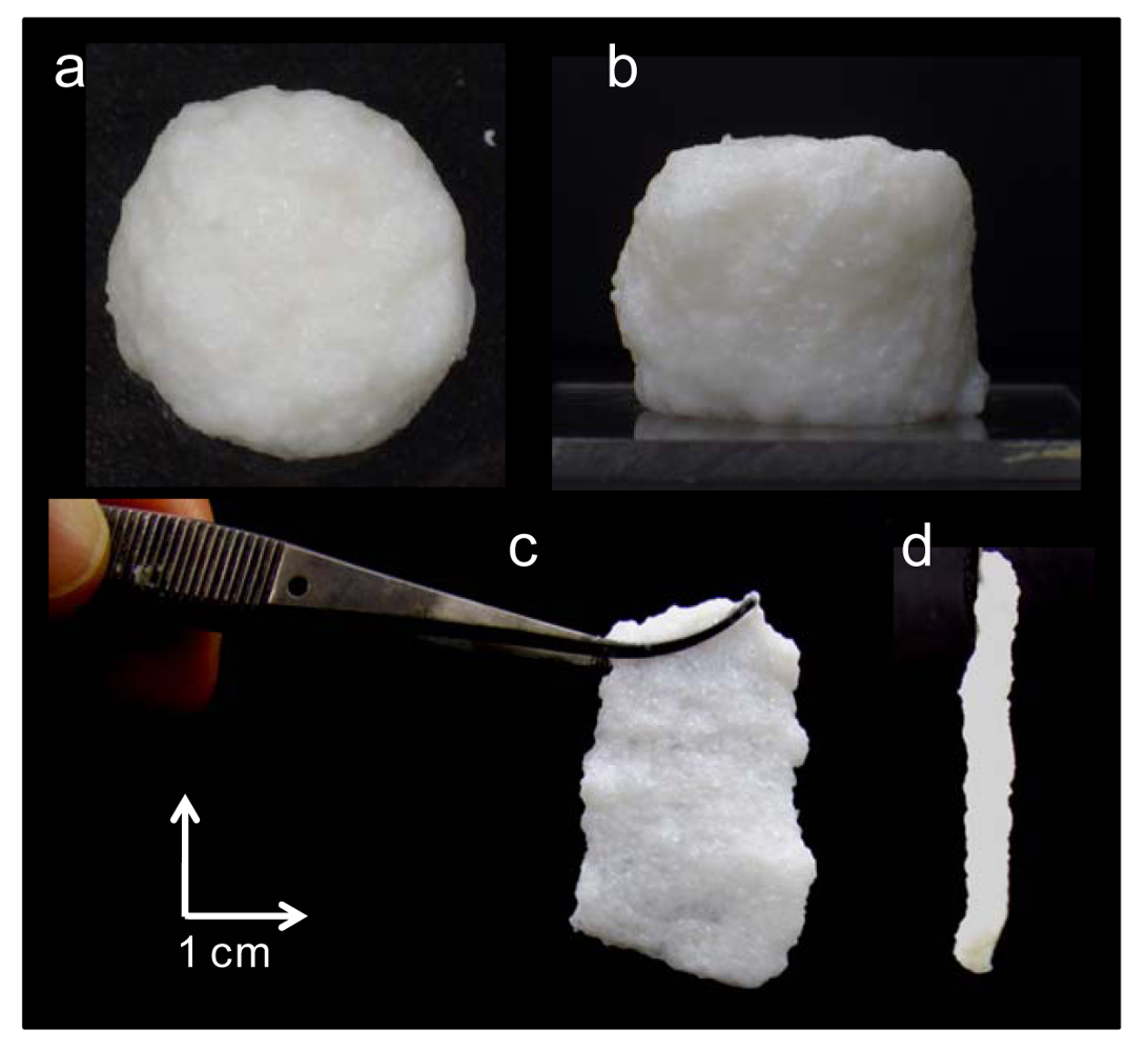 Polymers 03 01600f1 1024