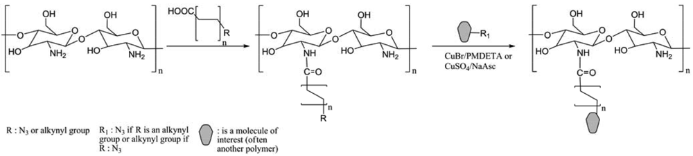Polymers 03 01607f32 1024