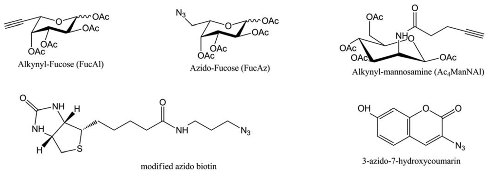 Polymers 03 01607f42 1024