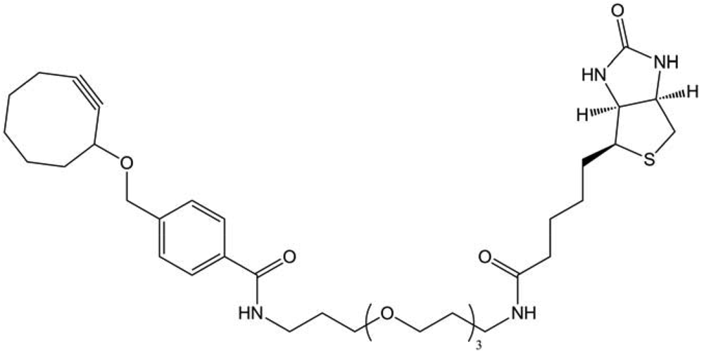 Polymers 03 01607f44 1024