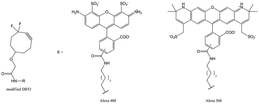Polymers 03 01607f45 1024