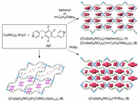 Polymers 03 01934f4 200