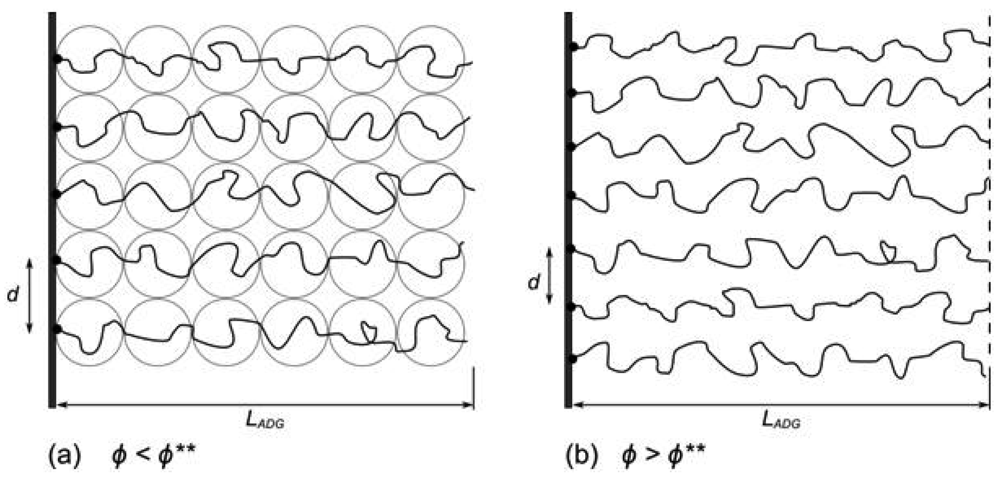 Polymers 03 02107f2 1024