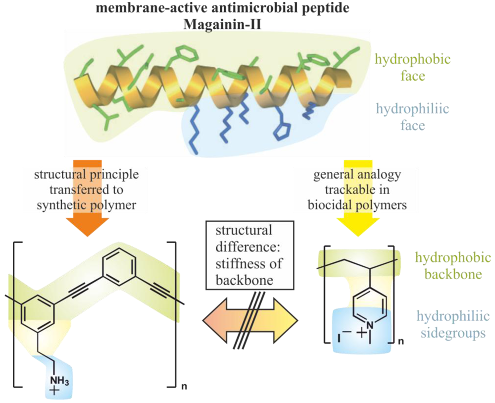 shop Progress in Molecular and Subcellular