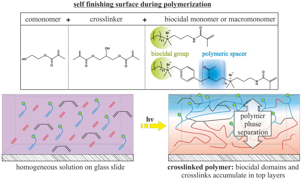 Polymers Free FullText Antimicrobial Polymers in Solution and on