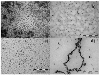 Polymers 04 00448 g003 200
