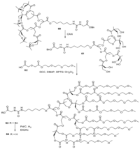 Polymers 04 00794 g035 200